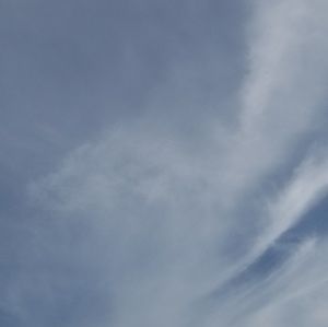 Meet your Posher, Lashun